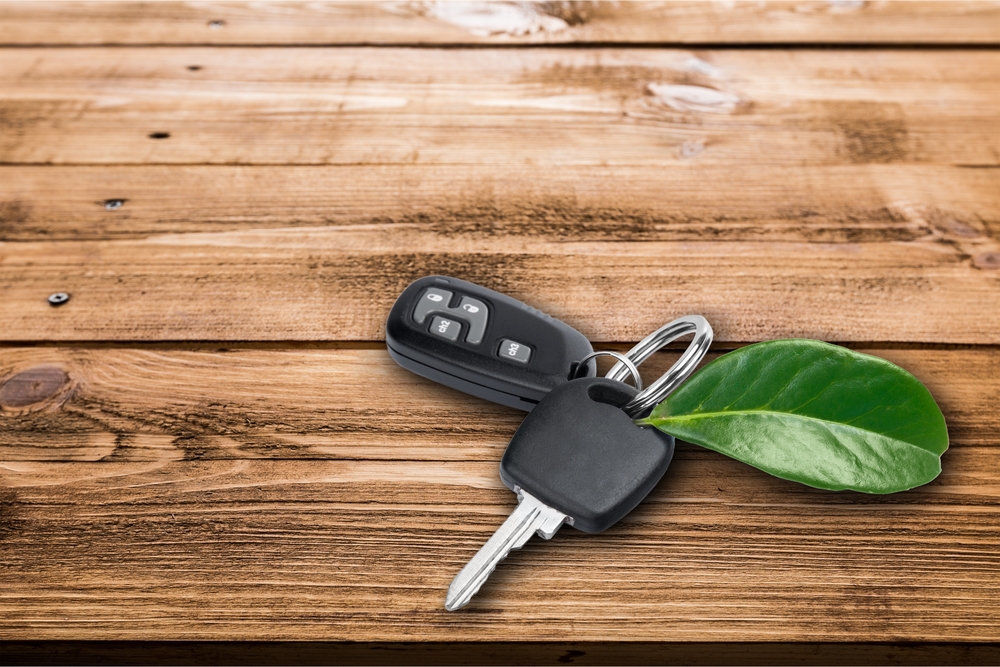 shutterstock_331031444