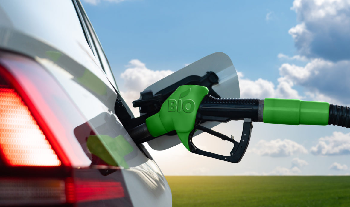 Combustíveis renováveis voltam à pauta na União Europeia