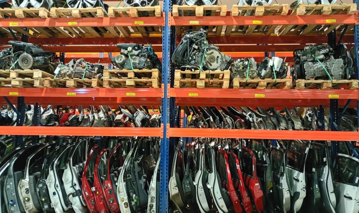 Espaço conta com 200 diferentes tipos de peças em comercialização e, até o final do ano, pretende chegar a 400.